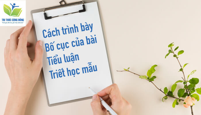 Hướng dẫn cách viết một bài tiểu luận triết học