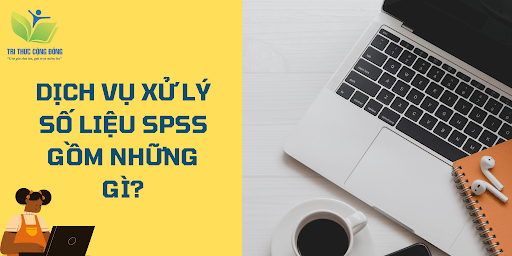 Dịch vụ xử lý số liệu SPSS gồm những gì?