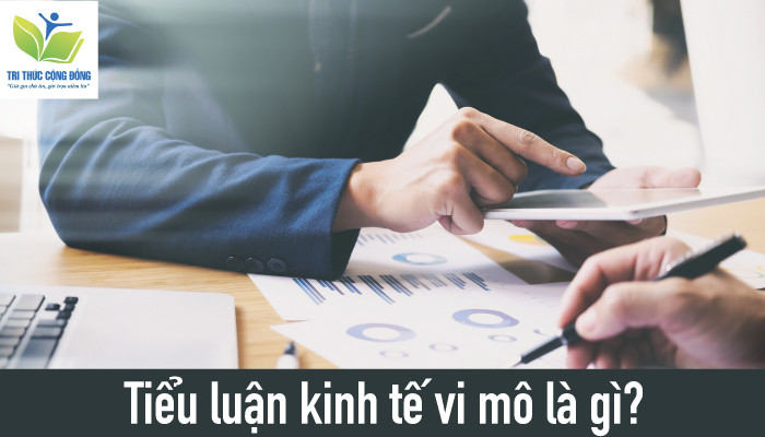 Khám phá kho 50+ đề tài tiểu luận kinh tế vi mô hay và mới nhất