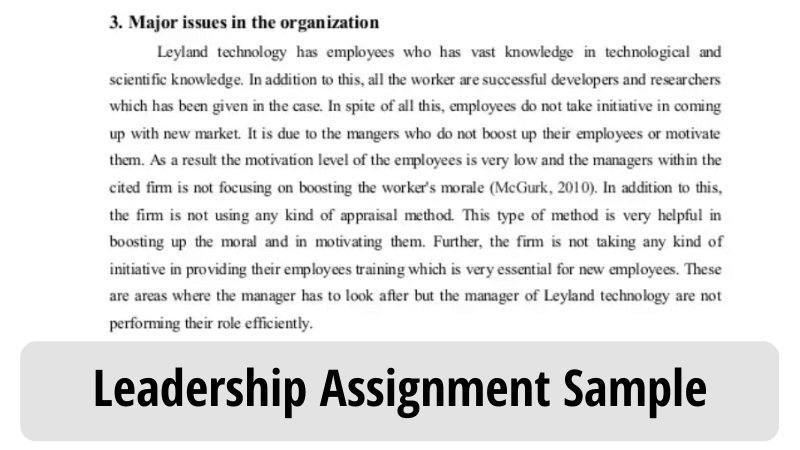Leadership assignment sample