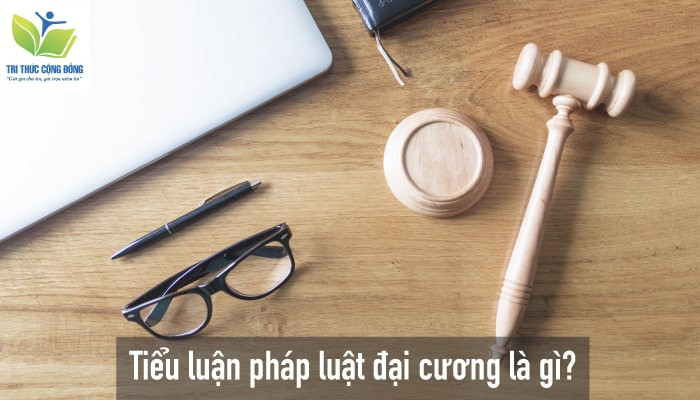 Top 10 tiểu luận pháp luật đại cương: 10 Bài Mẫu & 50 Đề Tài Hay Nhất