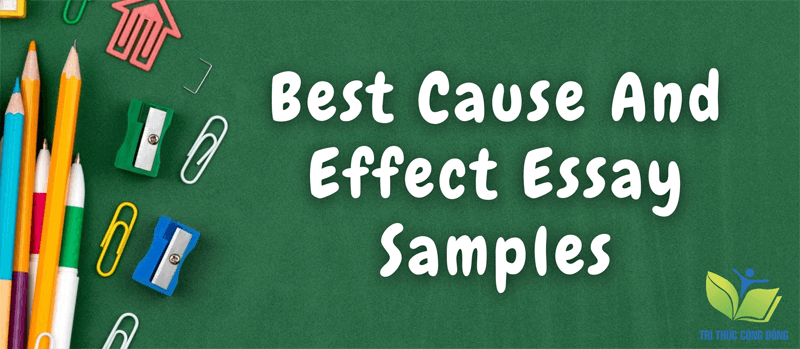 Bài essay mẫu về Cause And Effect xuất sắc nhất