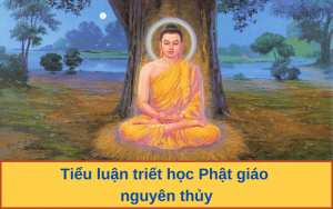 Top 5 Bài Tiểu Luận Triết Học Phật Giáo Mẫu Đạt Điểm Cao Nhất