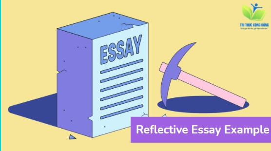 Tổng hợp bài mẫu reflective essay với 6 chủ đề phổ biến