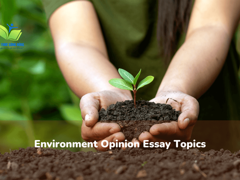Bài Environment opinion essay đạt 500 lượt tải