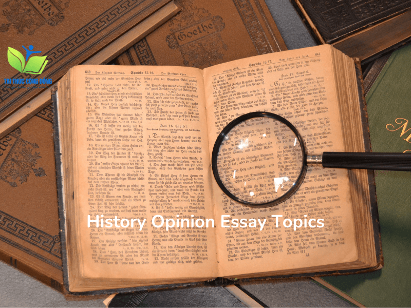 Mẫu bài History Opinion Essay được đánh giá cao