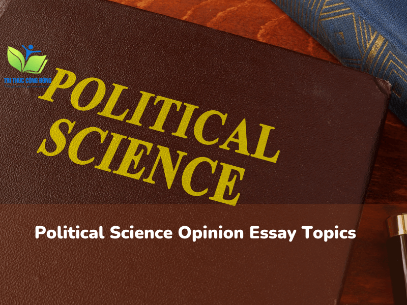 Mẫu bài Political Science Opinion Essay đạt điểm tuyệt đối