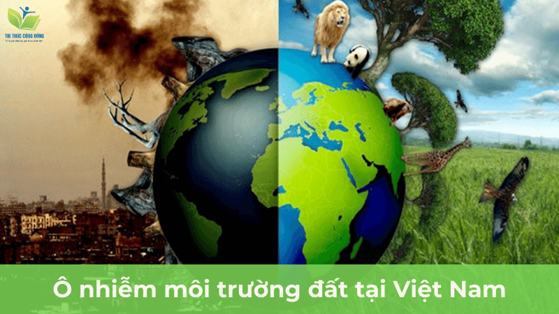 Ô nhiễm môi trường đất tại Việt Nam