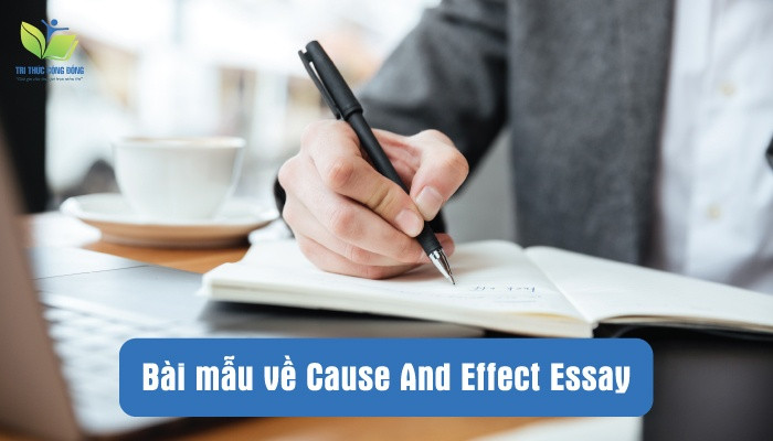 Bài mẫu về Cause And Effect Essay