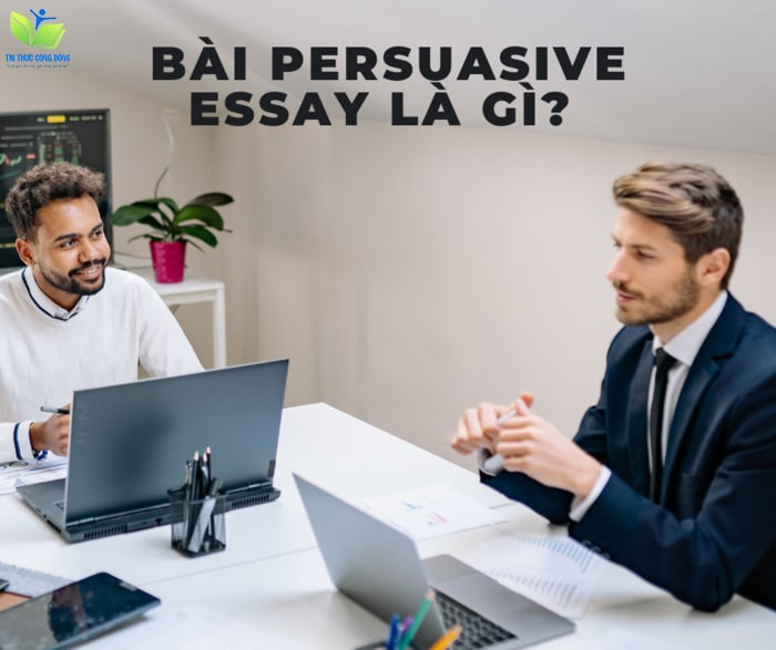 Bài persuasive essay là gì