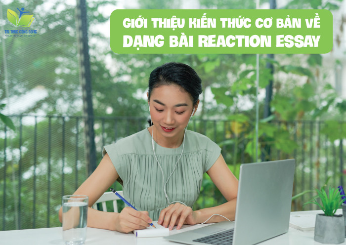 Giới thiệu kiến thức cơ bản về dạng bài reaction essay + cách viết