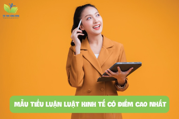 Chia sẻ 11 mẫu tiểu luận luật kinh tế có ĐIỂM CAO NHẤT