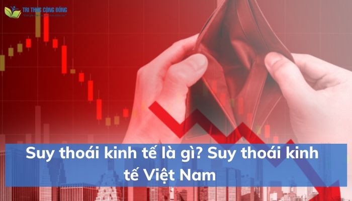 Suy thoái kinh tế Việt nam 