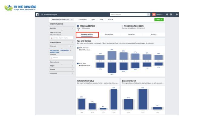 Facebook Insights Audience