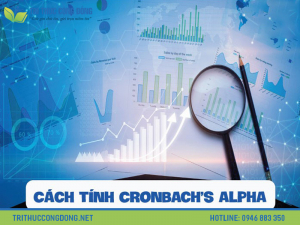 Cách chạy Cronbach Alpha trong SPSS chính xác & hiệu quả