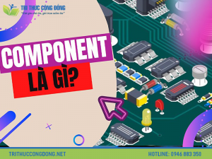 Component là gì? Các chức năng chính của component