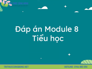 Đáp án tự luận module 8 tiểu học