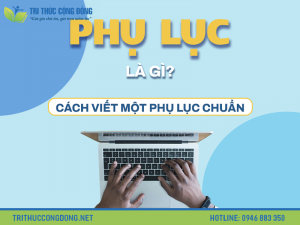 Ví dụ về phụ lục tiểu luận