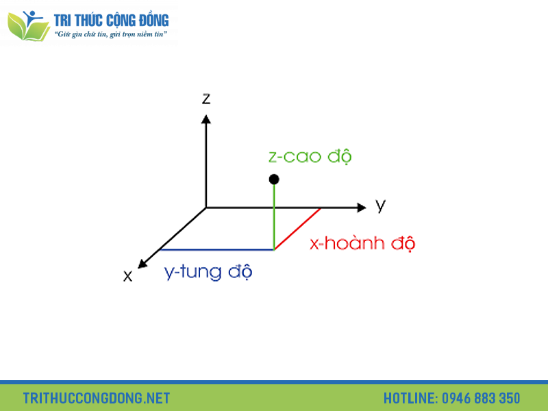 Tung độ là x hay y?