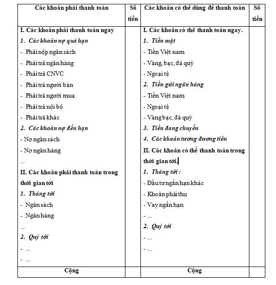Bảng phân tích nhu cầu và khả năng thanh toán