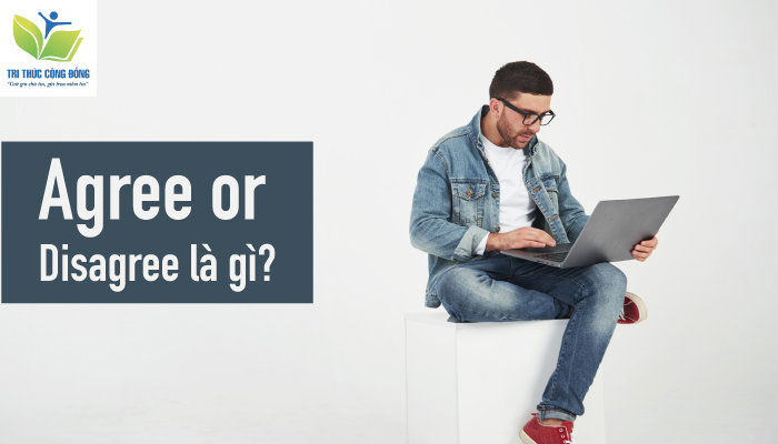 Bật Mí Cách Viết Essay Agree Or Disagree Đạt Điểm Cao