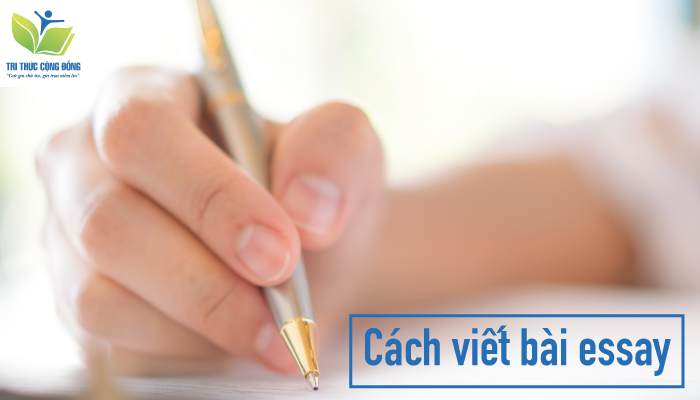 Cách viết bài opinion essay