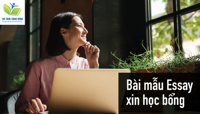 Bài mẫu essay xin học bổng