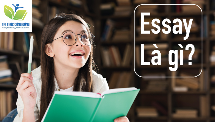 Essay là gì?