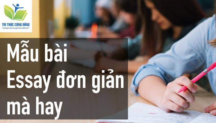 Mẫu bài essay đơn giản mà hay