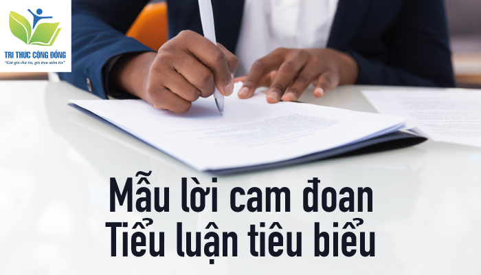 Mẫu lời cam đoan tiểu luận tiêu biểu