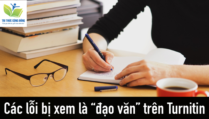Hình ảnh Các lỗi bị xem là “đạo văn” trên Turnitin