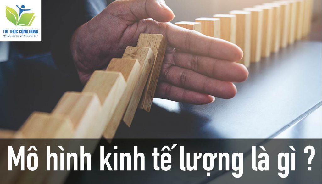 Mô hình kinh tế lượng là gì ?