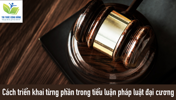 Cách triển khai từng phần trong tiểu luận pháp luật đại cương