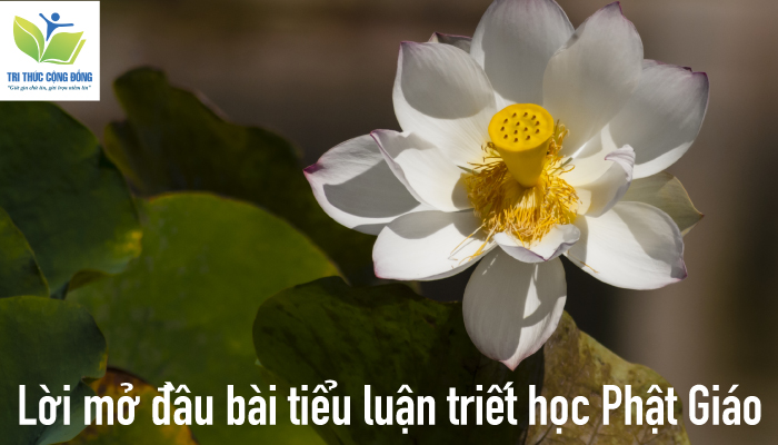 Lời mở đầu bài tiểu luận triết học Phật Giáo