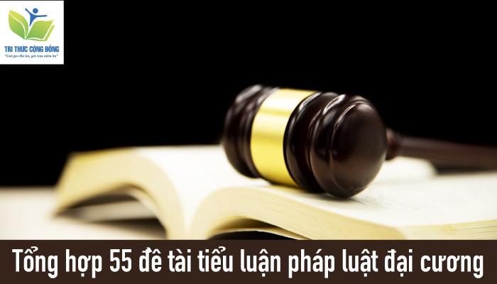 Tổng hợp 55 đề tài tiểu luận pháp luật đại cương