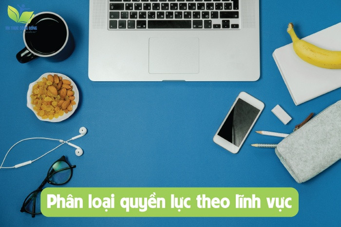Phân loại quyền lực theo lĩnh vực