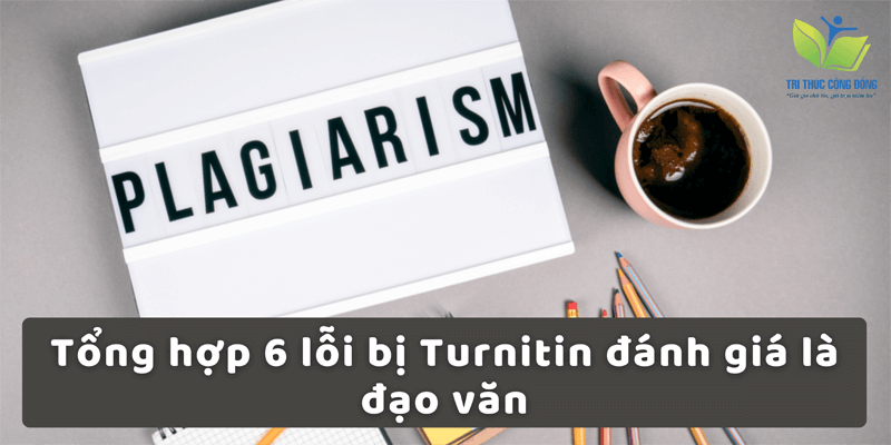 Tổng hợp 6 lỗi bị Turnitin đánh giá là đạo văn Tổng hợp 6 lỗi bị Turnitin đánh giá là đạo văn